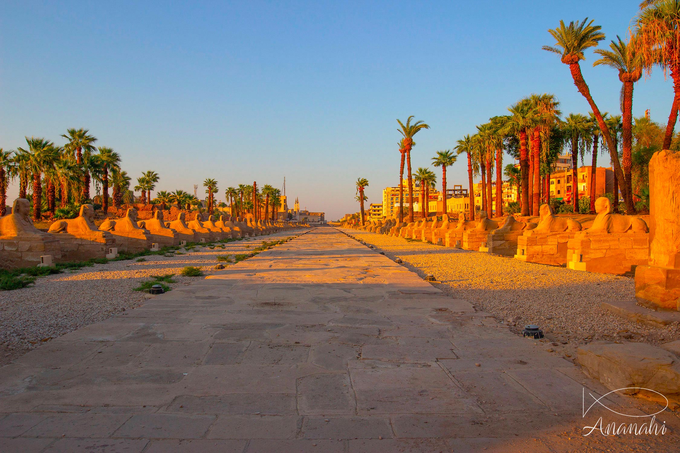 Egypt landscape of Egypt