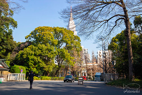 Harajuku of japon
