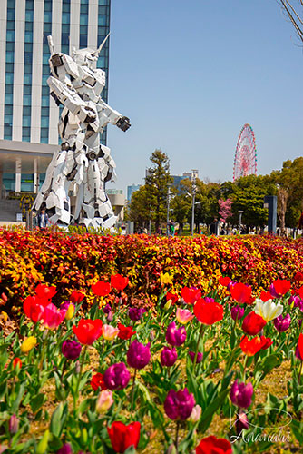 Odaiba of japon