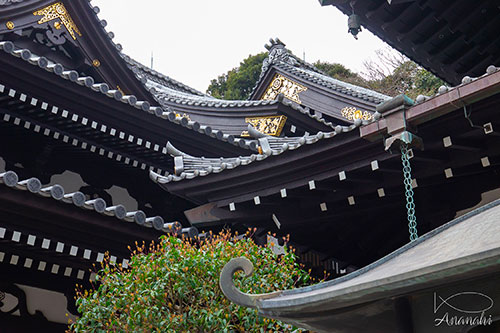 Kamakura of japon