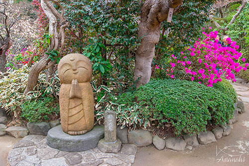 Kamakura of japon