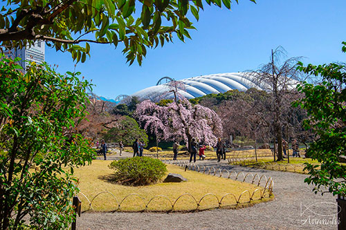 Bunkyo of japon