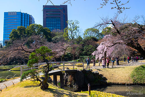 Bunkyo of japon