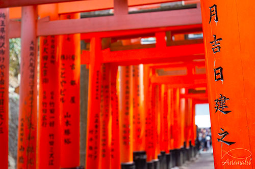 Fushimi-ku of japon