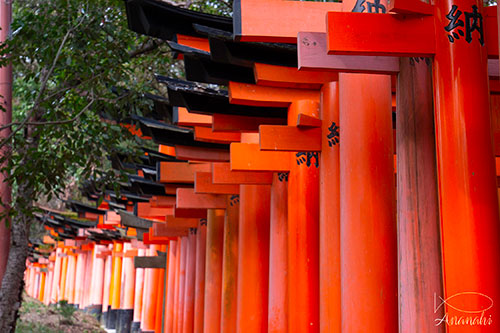 Fushimi-ku of japon