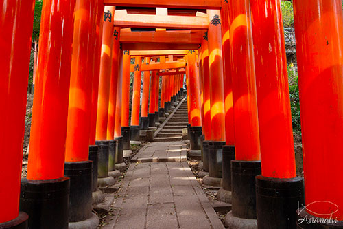 Fushimi-ku of japon