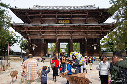 Nara of japon