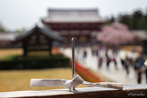 Nara of japon