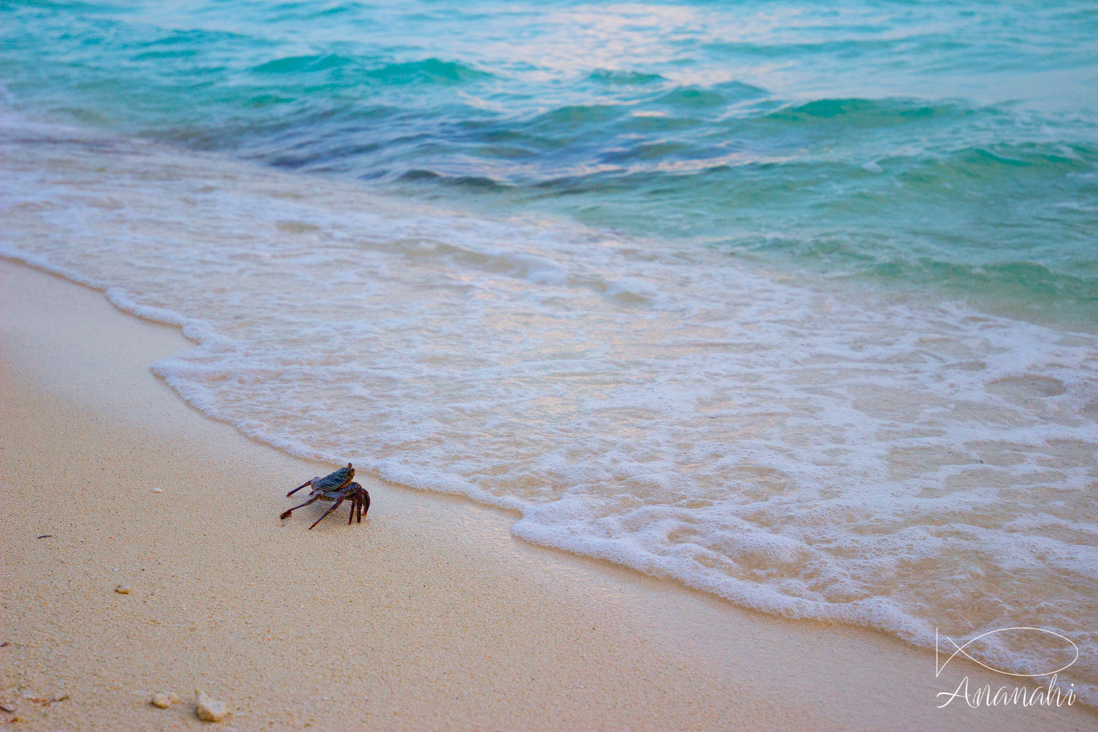 Biyadhoo island of Maldives