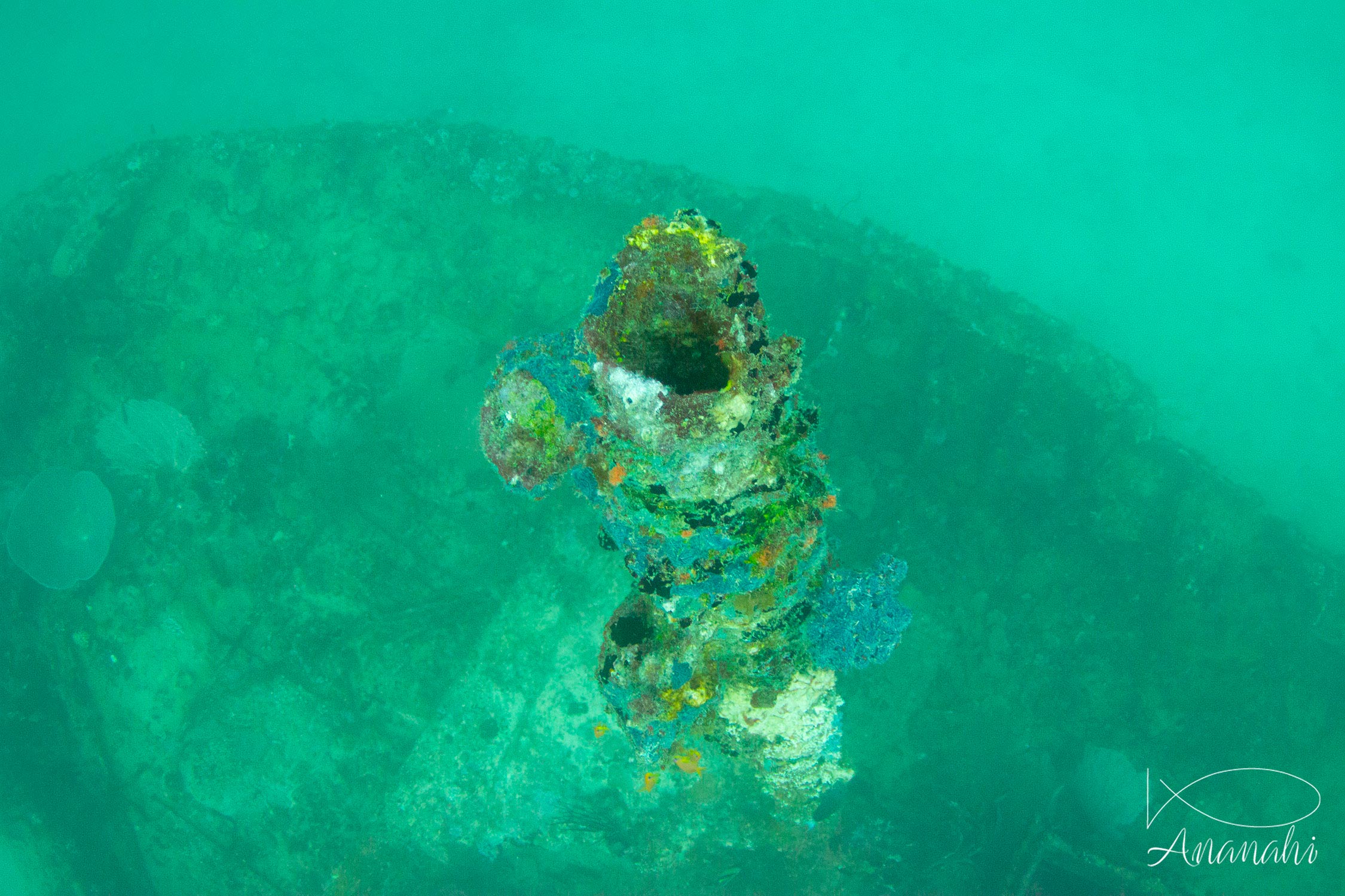 Shipwreck of Maldives