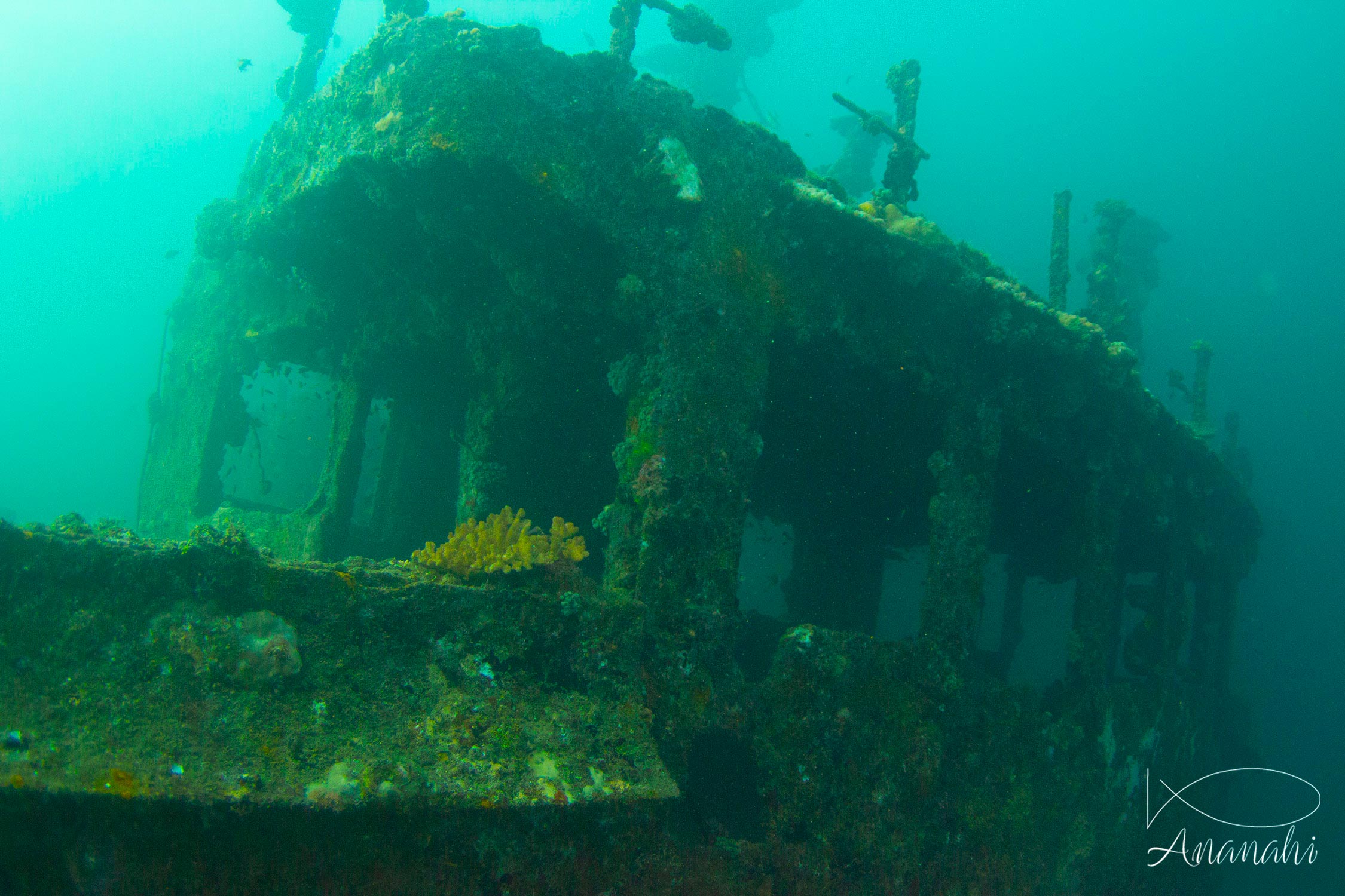 Shipwreck of Maldives