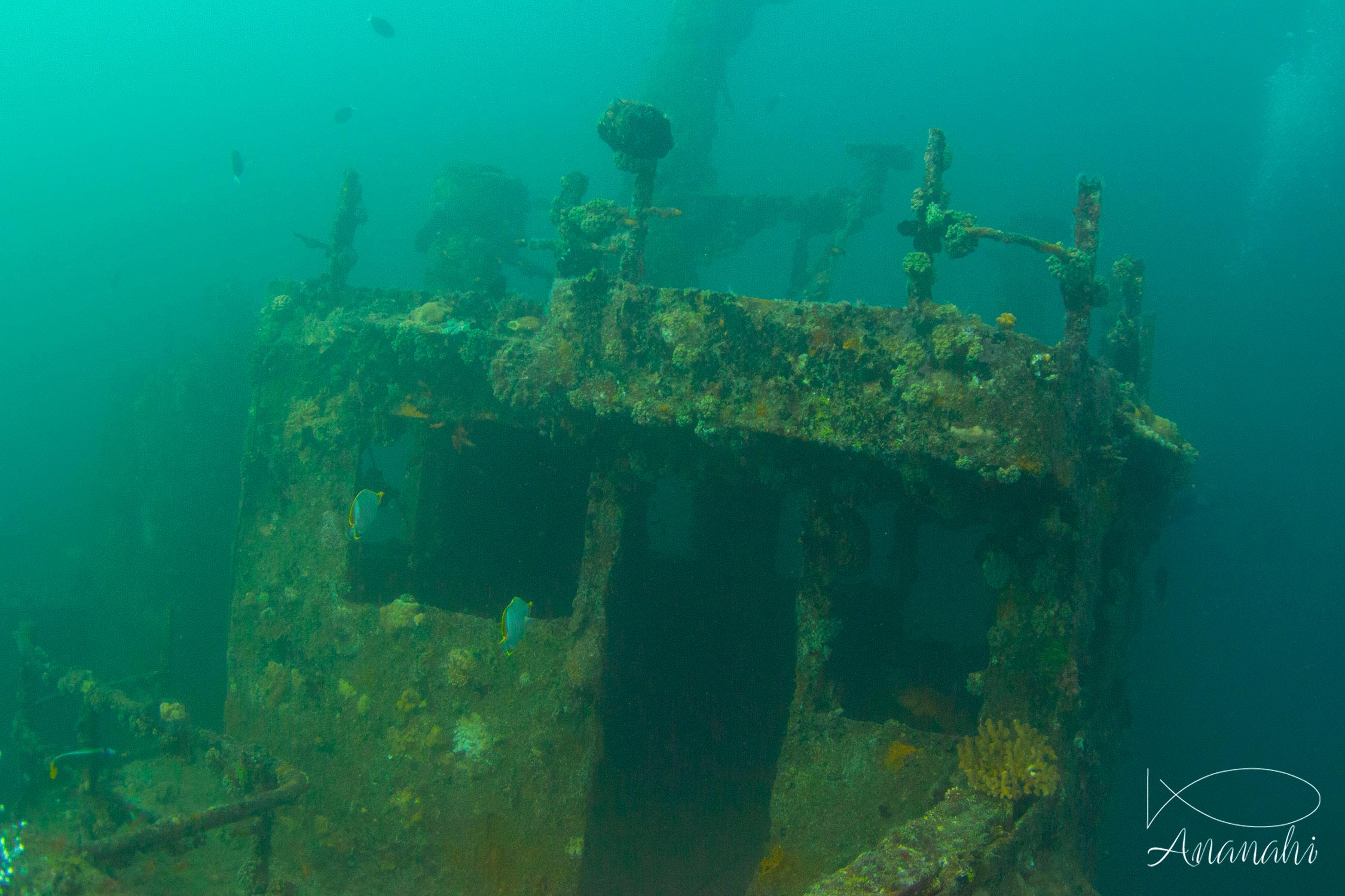 Shipwreck of Maldives