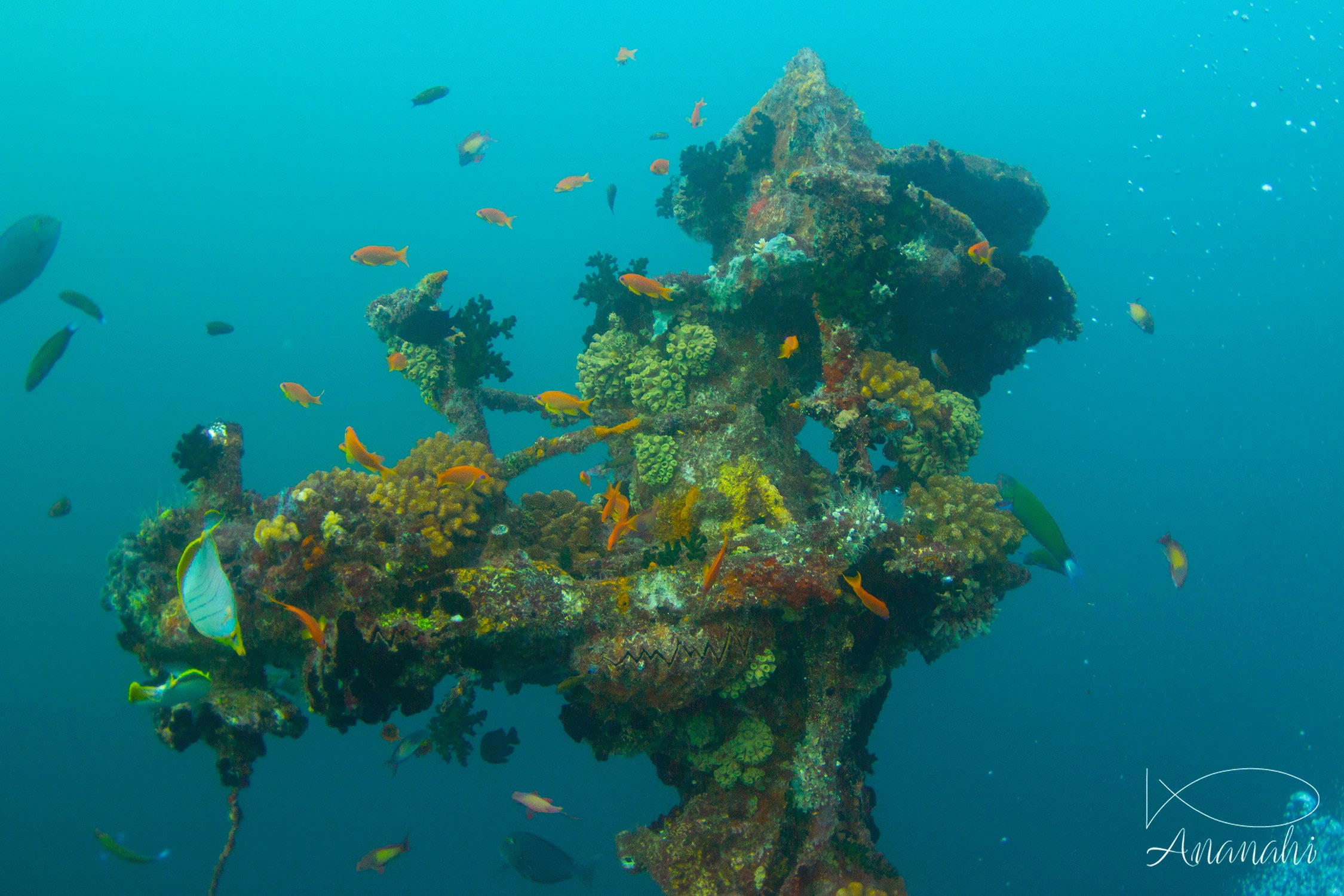 Shipwreck of Maldives