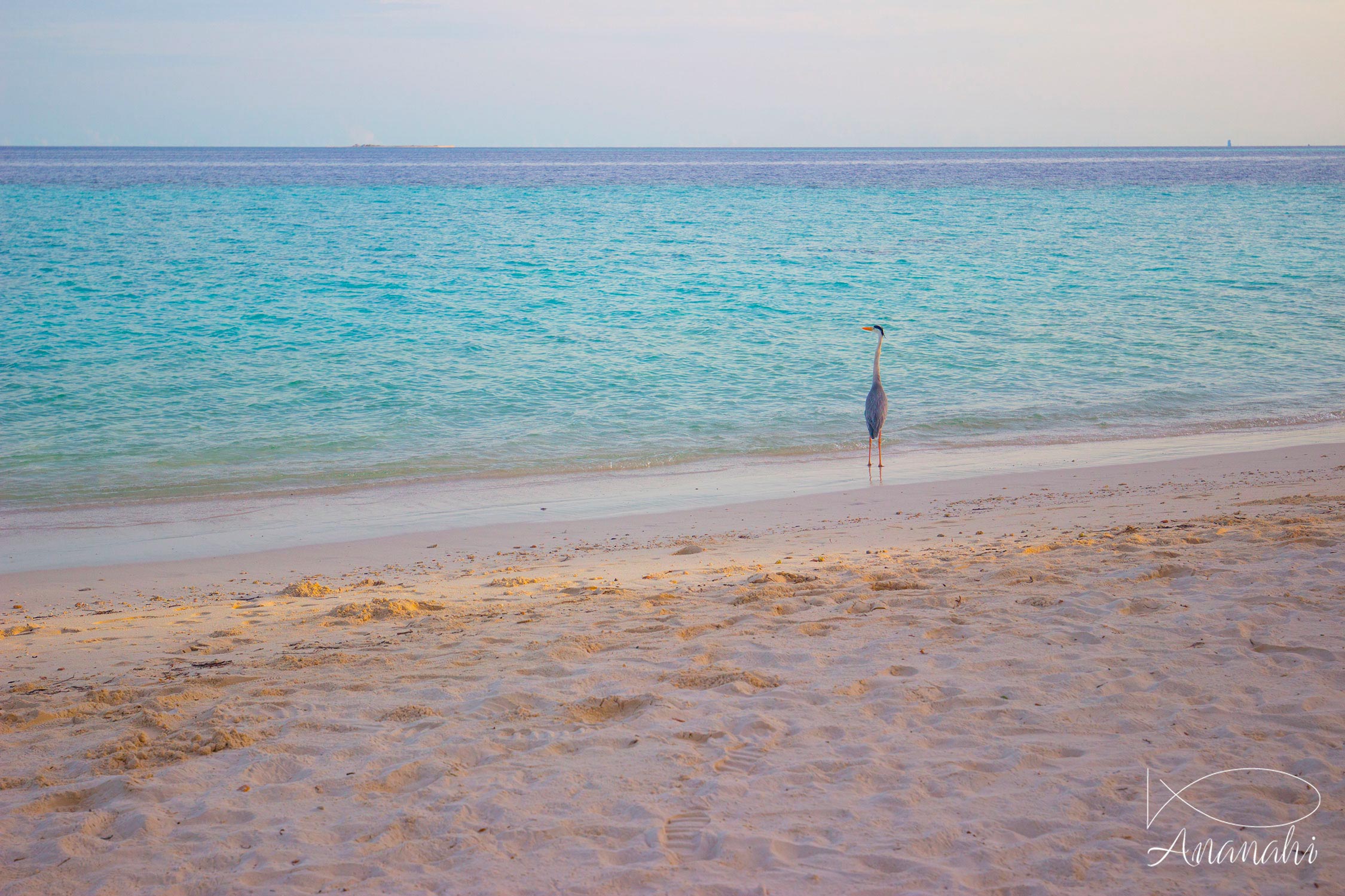 Biyadhoo island of Maldives