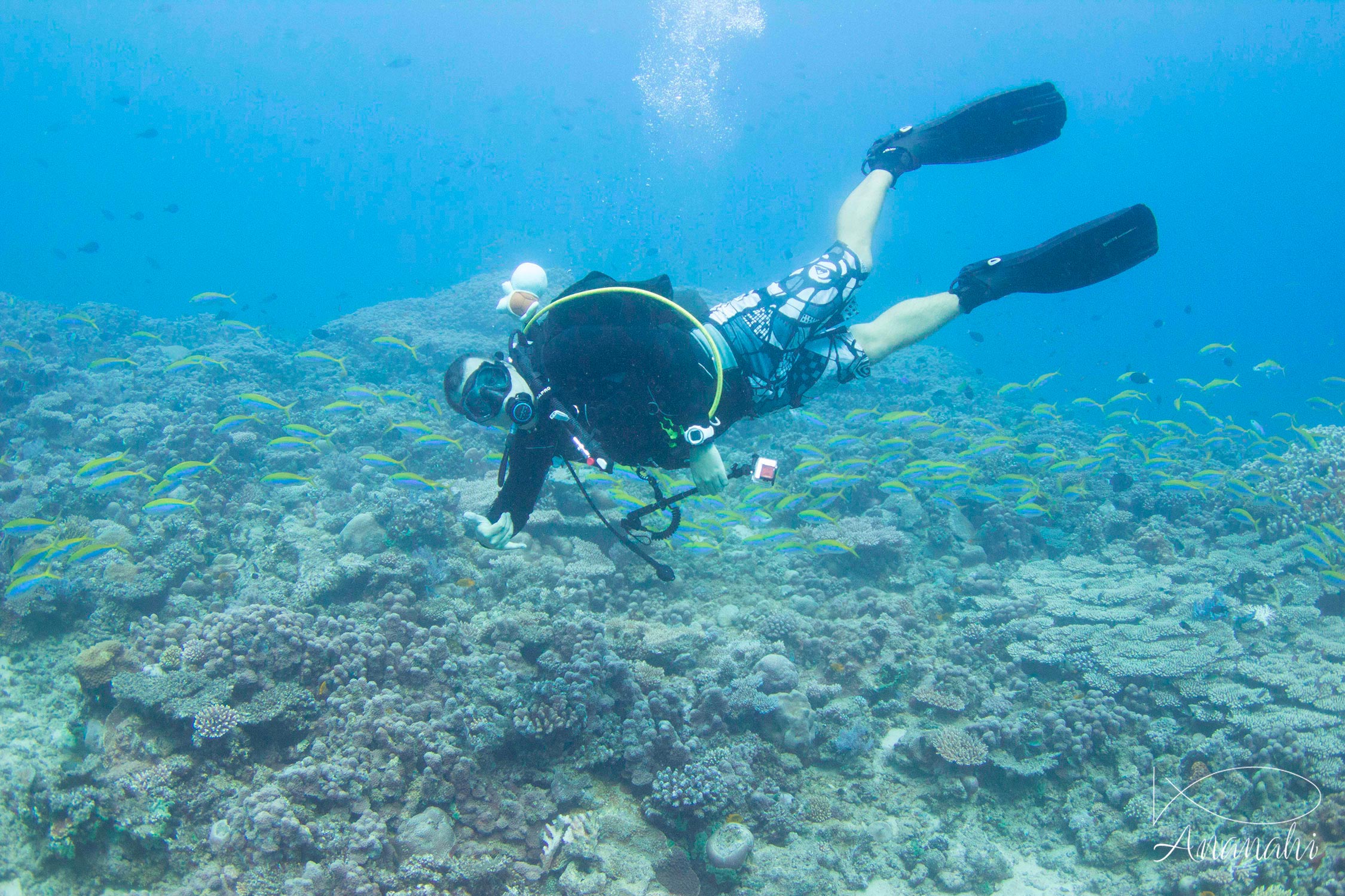 Kevin of Mayotte