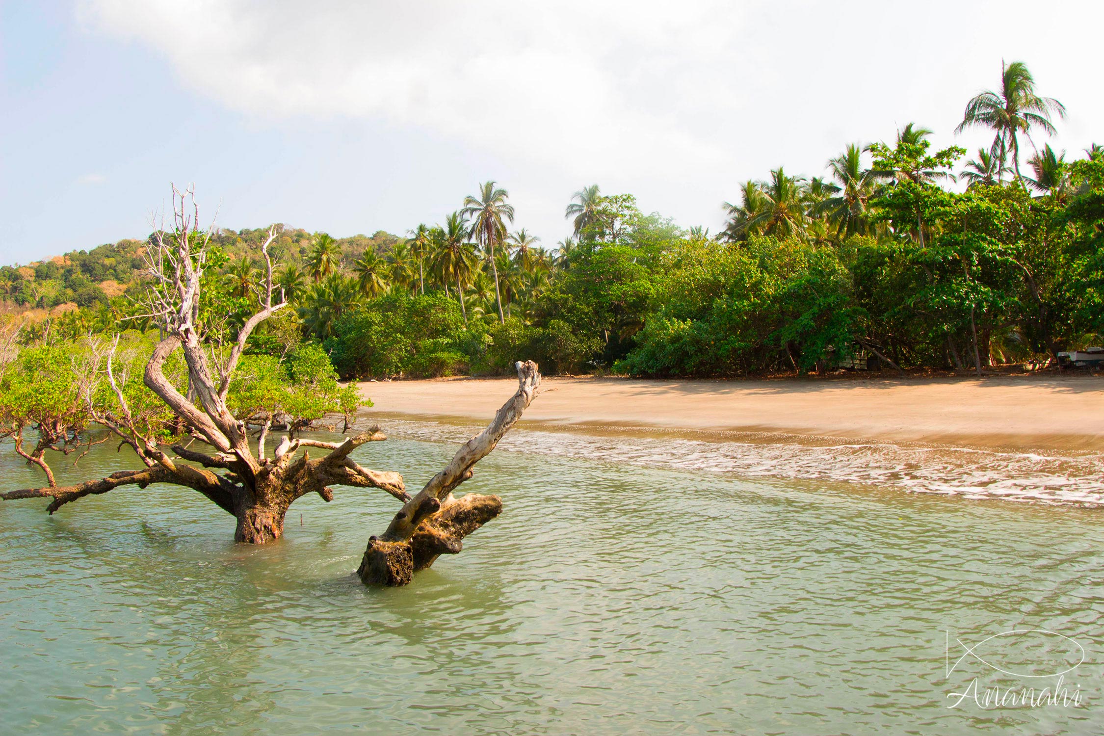 Mayotte landscape of Mayotte