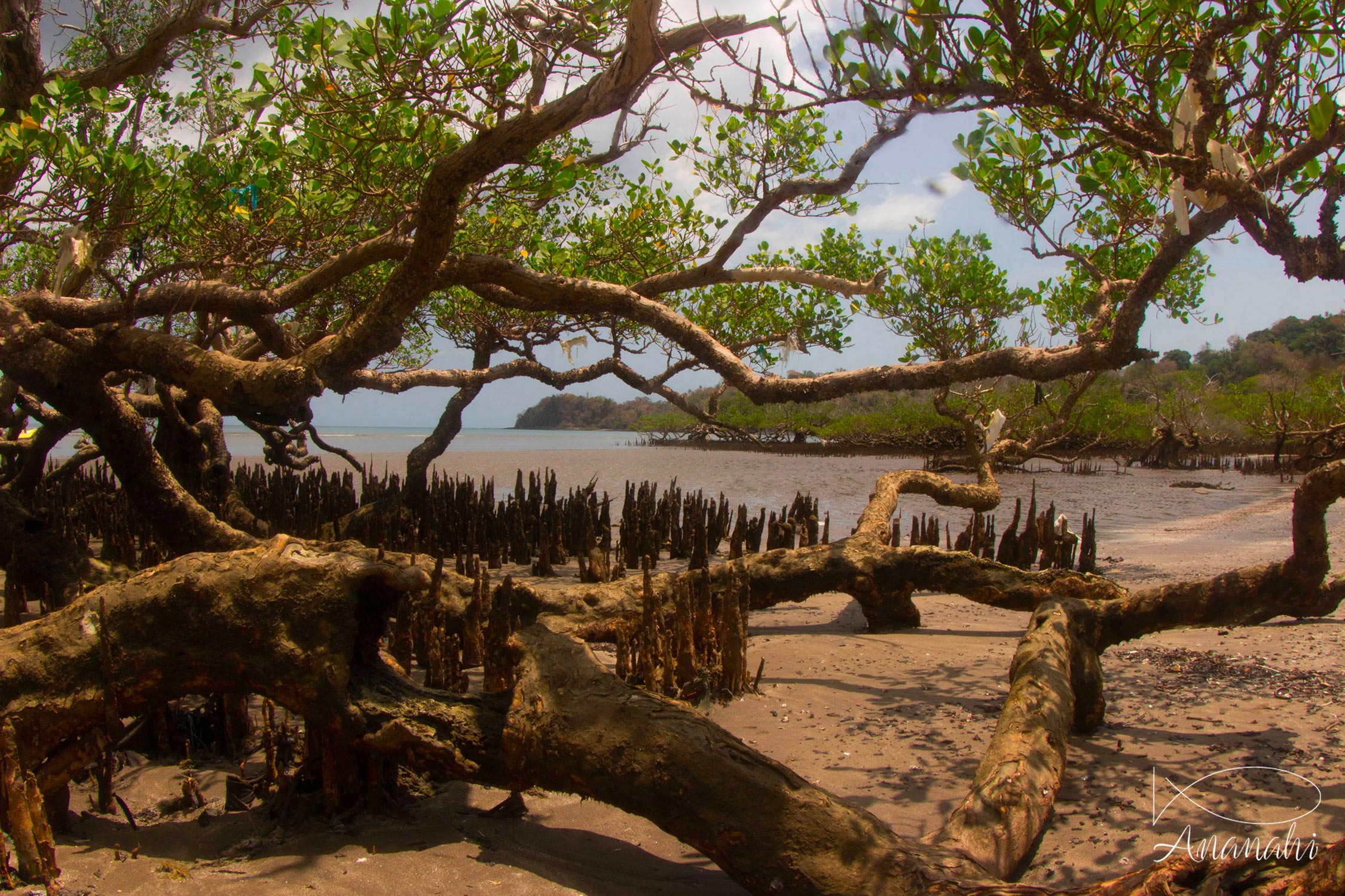 Mayotte landscape of Mayotte