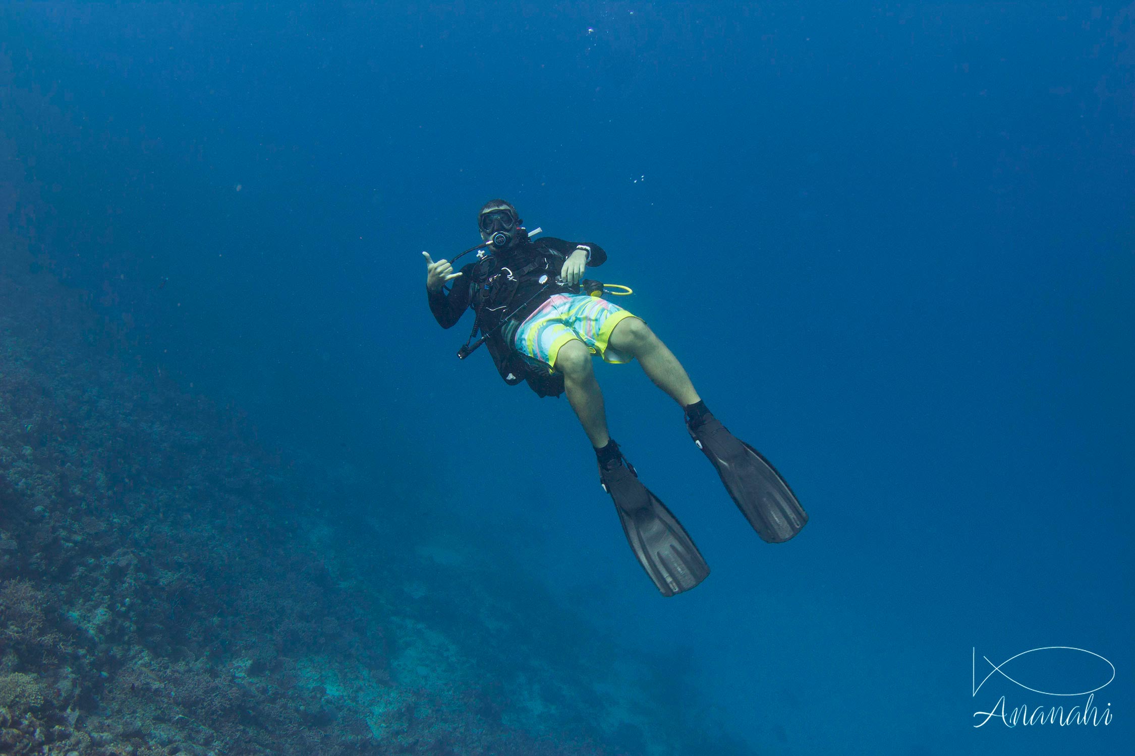 Kevin of Mayotte