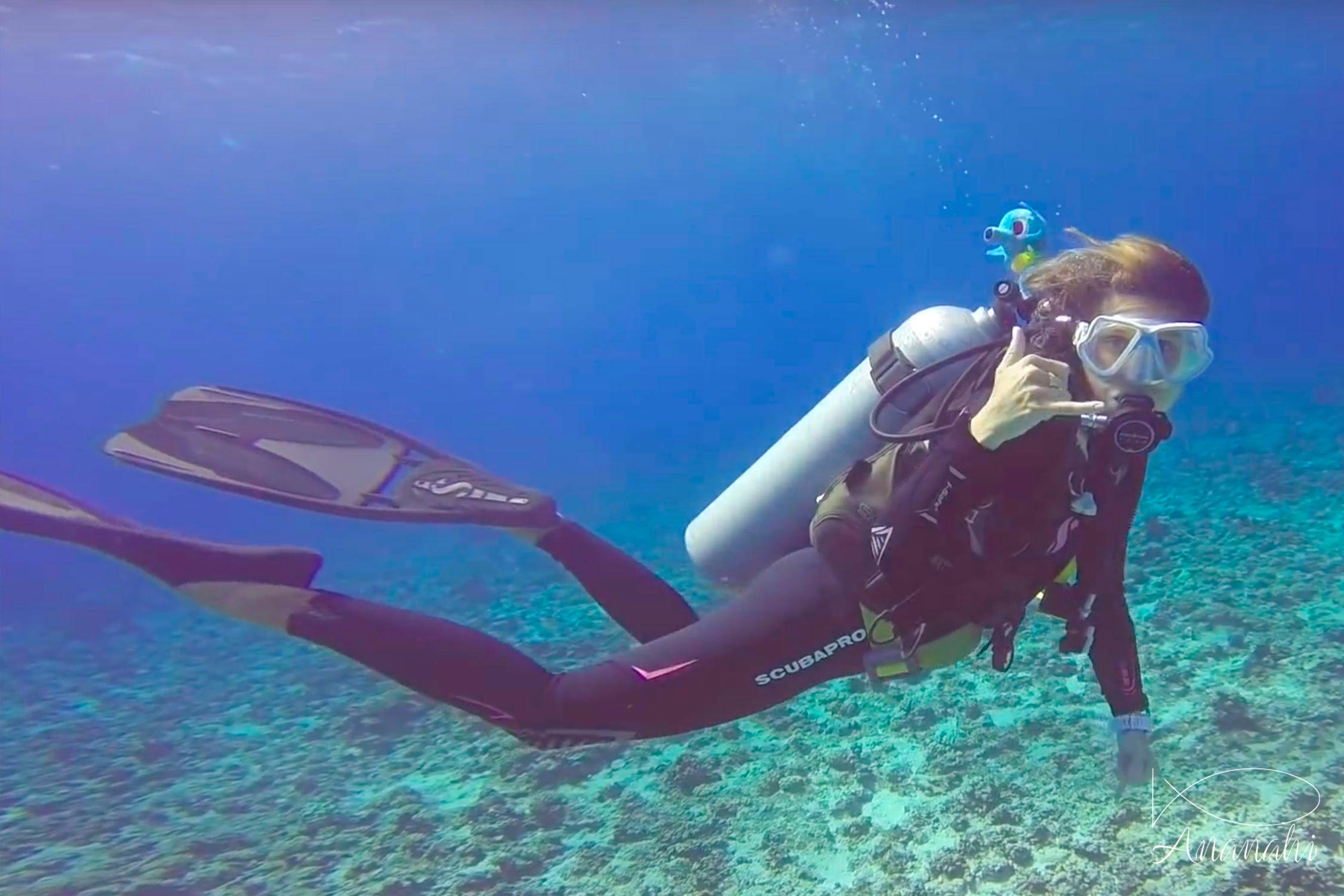 Marion of French polynesia