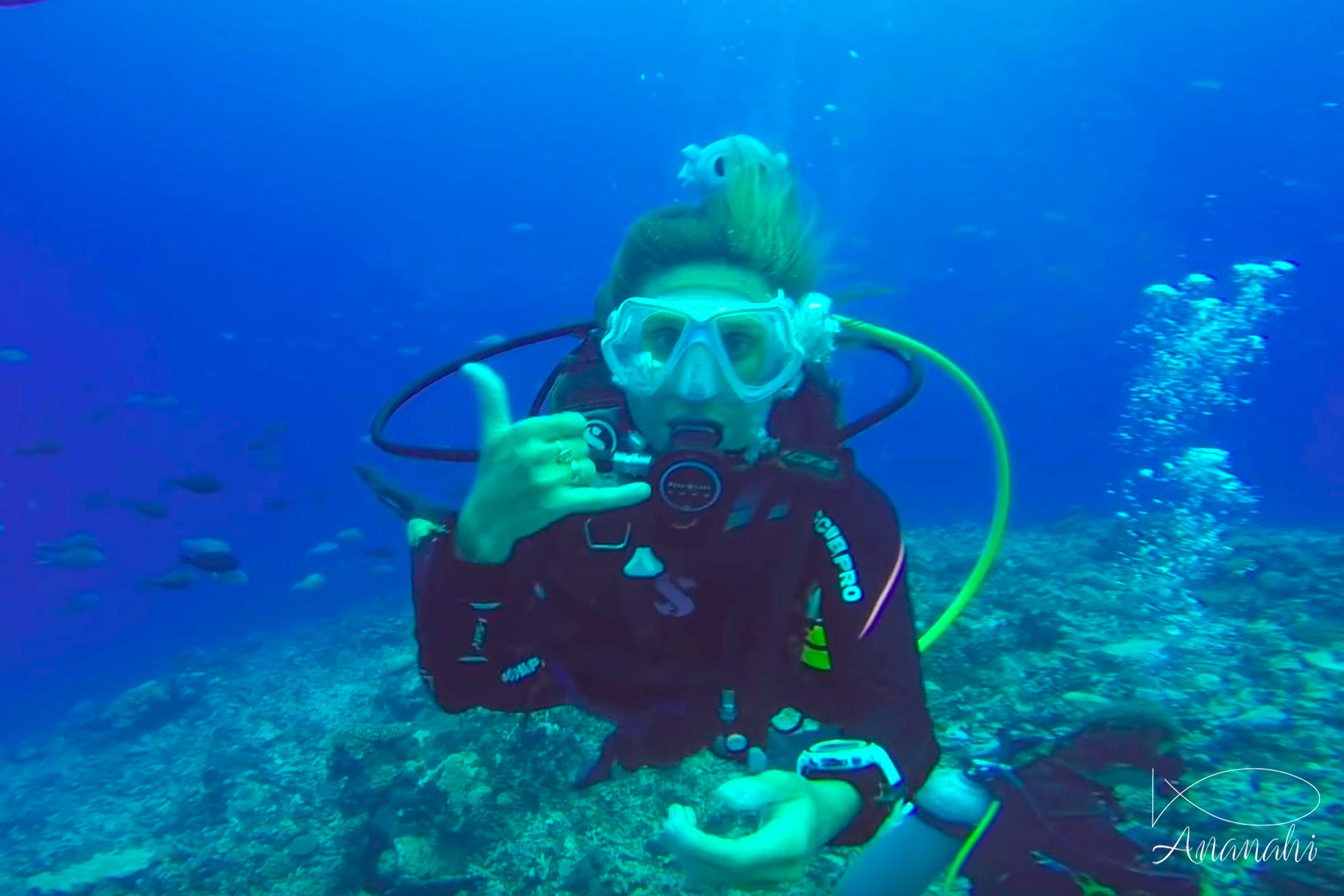 Marion of French polynesia