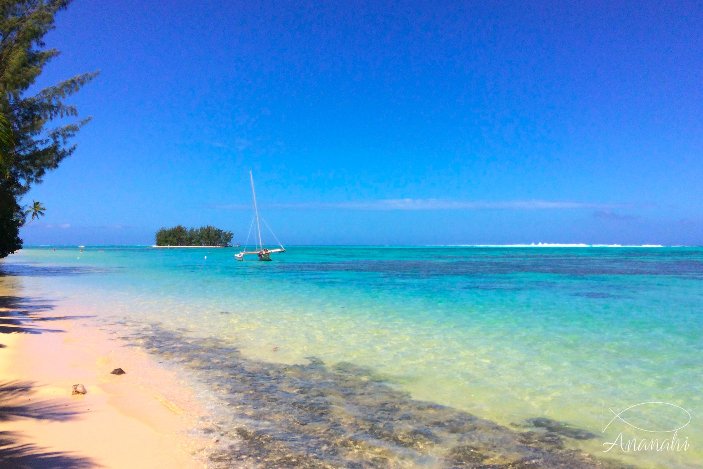 French Polynesia landscapes of French polynesia