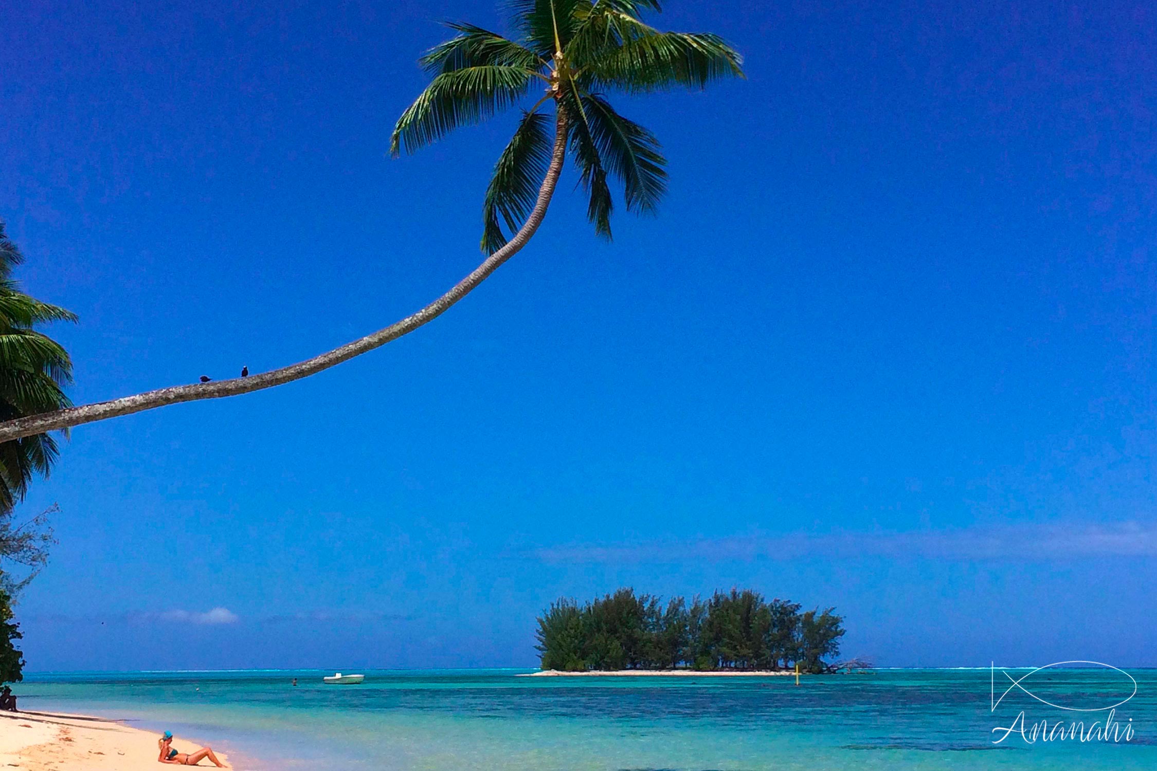 French Polynesia landscapes of French polynesia