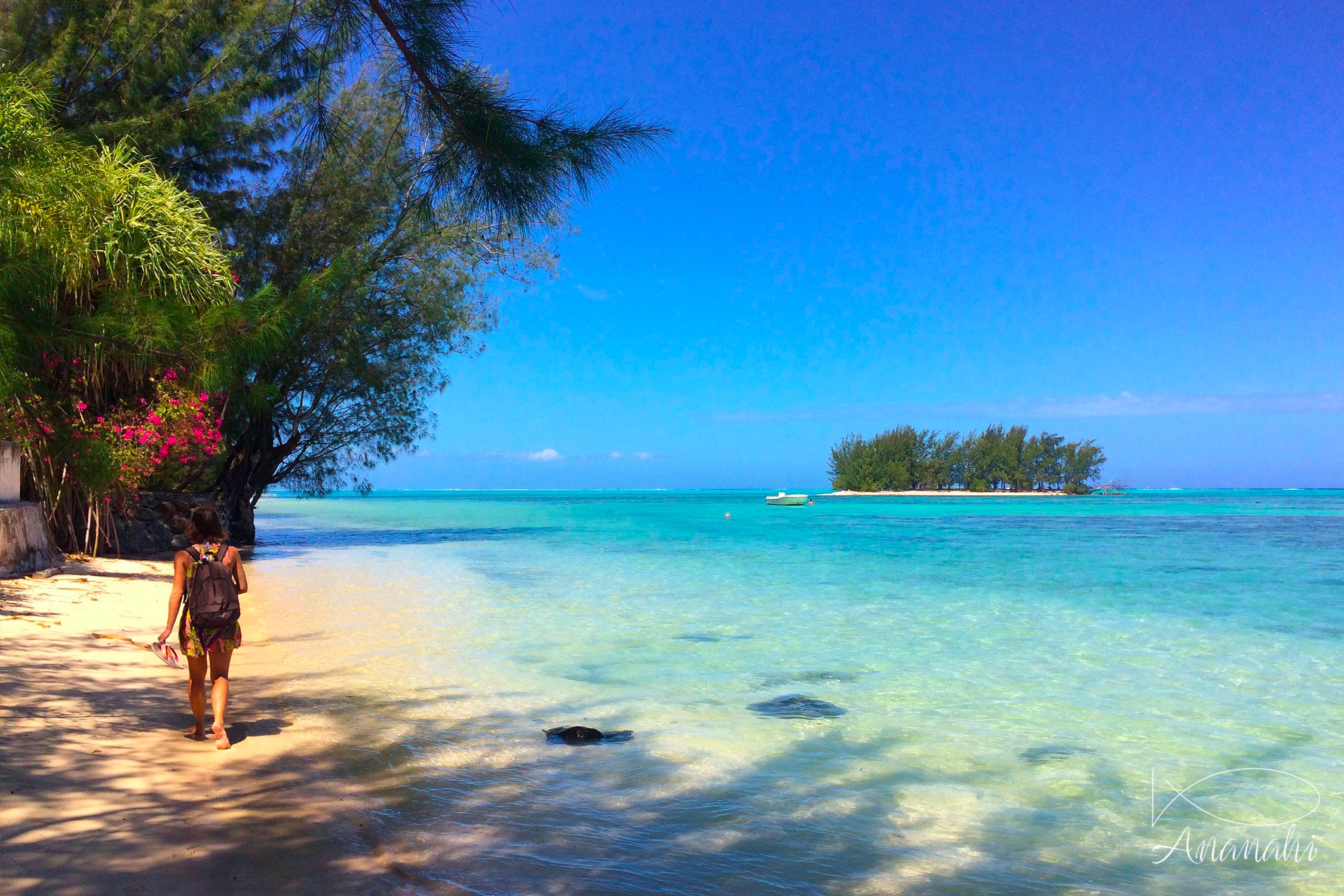 Marion of French polynesia