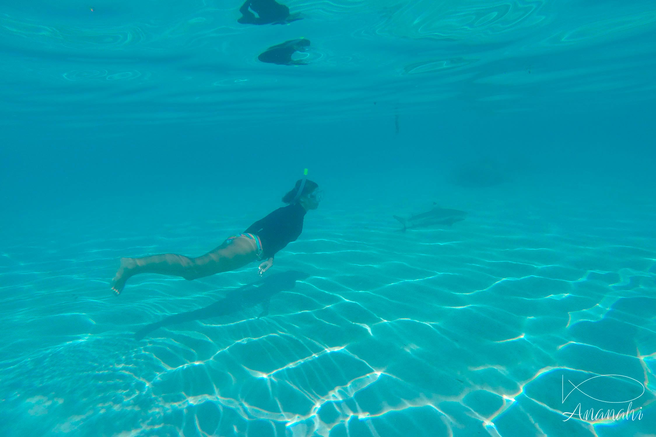 Marion of French polynesia