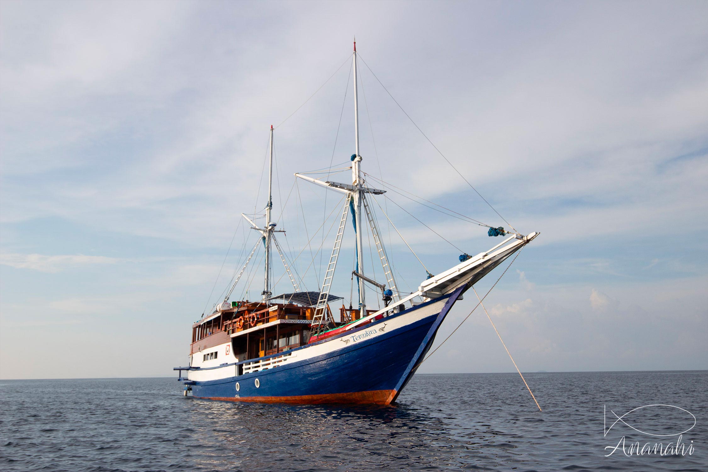 Temukira Diving cruise of Raja Ampat